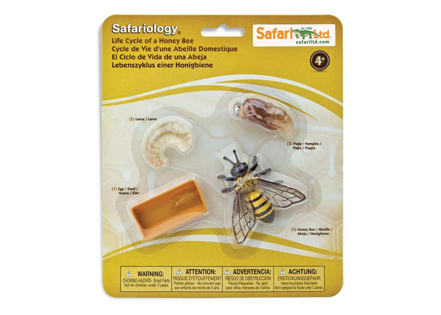 Set de 4 Figuras en Miniatura Ciclo de la Vida Abeja