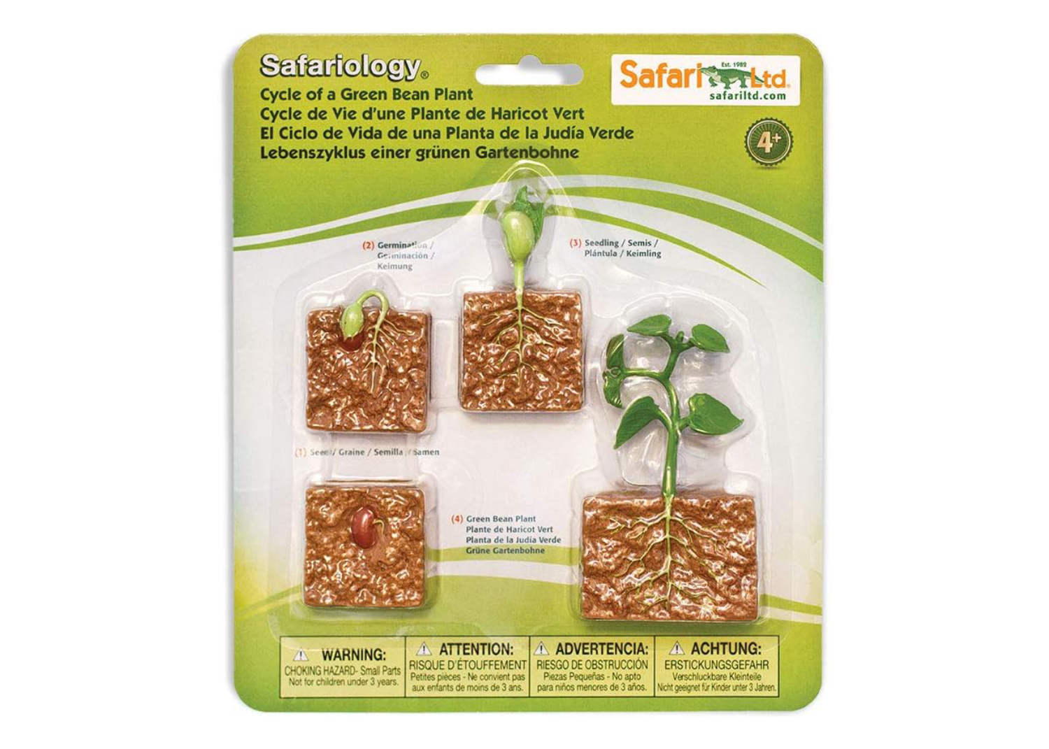 Set de 4 Figuras en Miniatura Ciclo de la Vida Planta