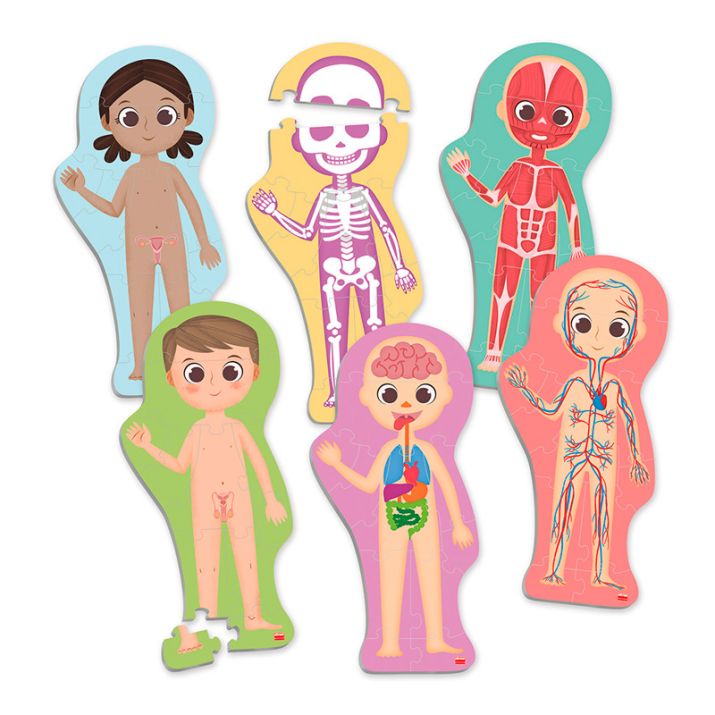 Set de 6 maxi puzles siluetas Descubre e identifica el cuerpo humano Akros