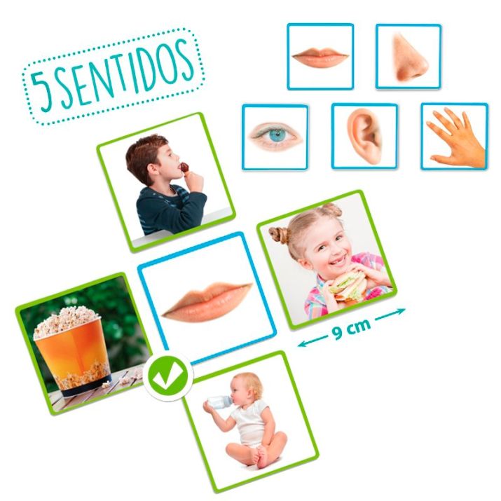 Los 5 sentidos – Akros: juego de asociación con fotografías reales para aprender vista, oído, olfato, gusto y tacto